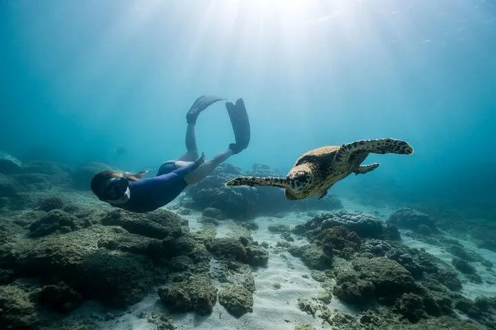 Swimming alongside a sea turtle in Nusa Penida